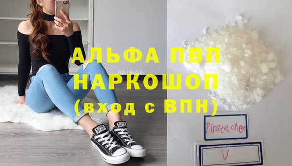 ГАЛЛЮЦИНОГЕННЫЕ ГРИБЫ Заволжье