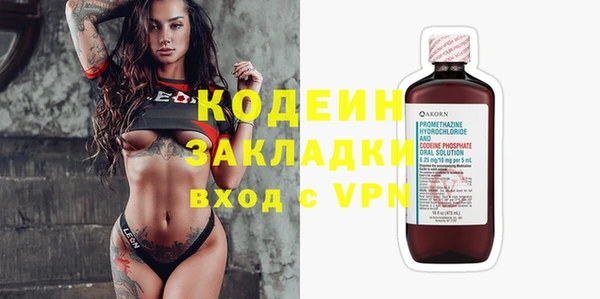 ГАЛЛЮЦИНОГЕННЫЕ ГРИБЫ Заволжье