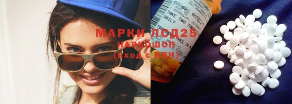 ГАЛЛЮЦИНОГЕННЫЕ ГРИБЫ Заволжье