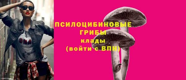 ГАЛЛЮЦИНОГЕННЫЕ ГРИБЫ Заволжье
