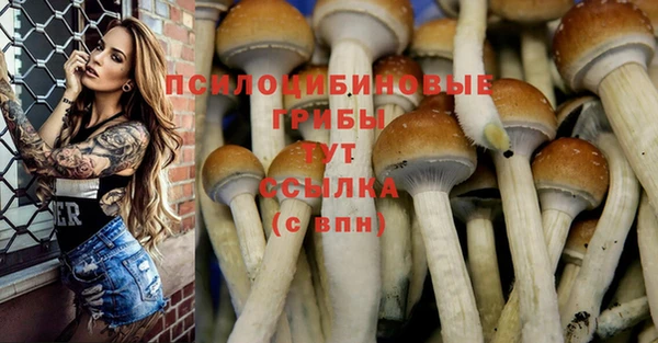 ГАЛЛЮЦИНОГЕННЫЕ ГРИБЫ Заволжье