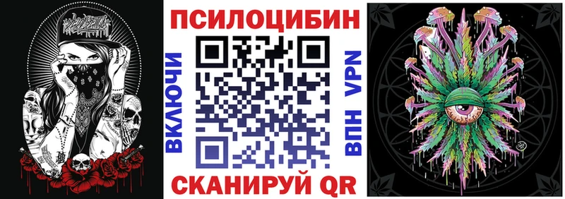 Купить  Медынь  Псилоцибиновые грибы Cubensis 
